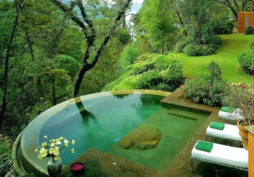 piscine naturelle piscine-naturel-exterieur