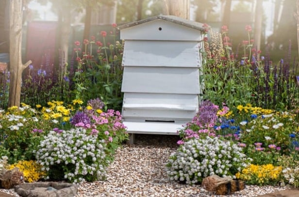 ruche-jardin-abeille