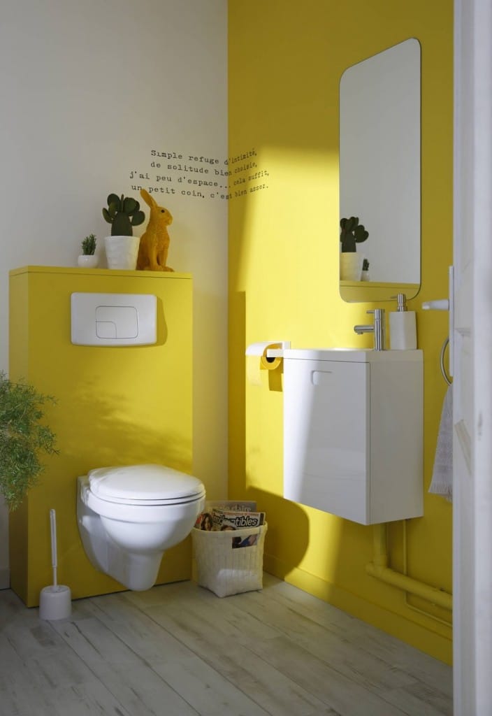 wc coloré